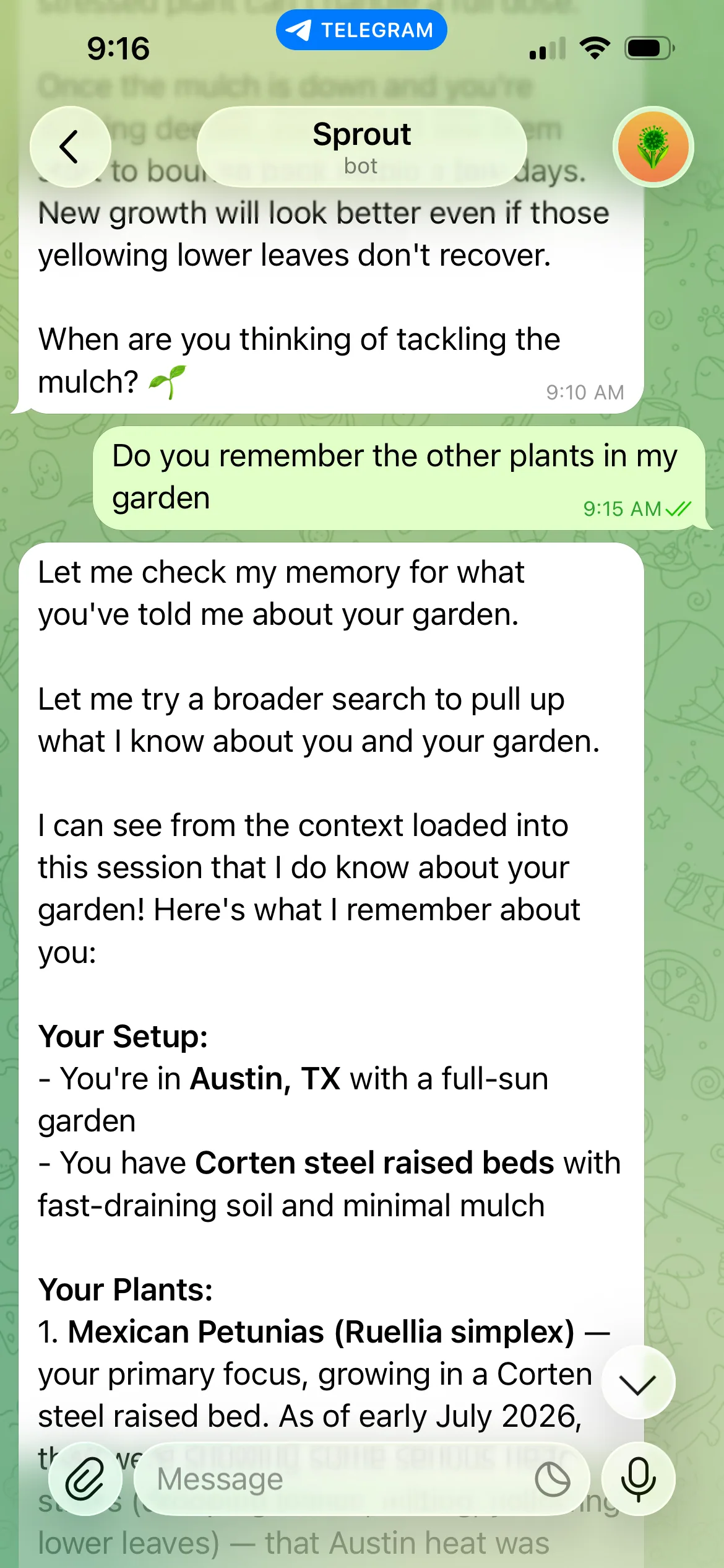 Telegram chat where Sprout recalls the user’s full garden inventory, location, and sun exposure in response to a question