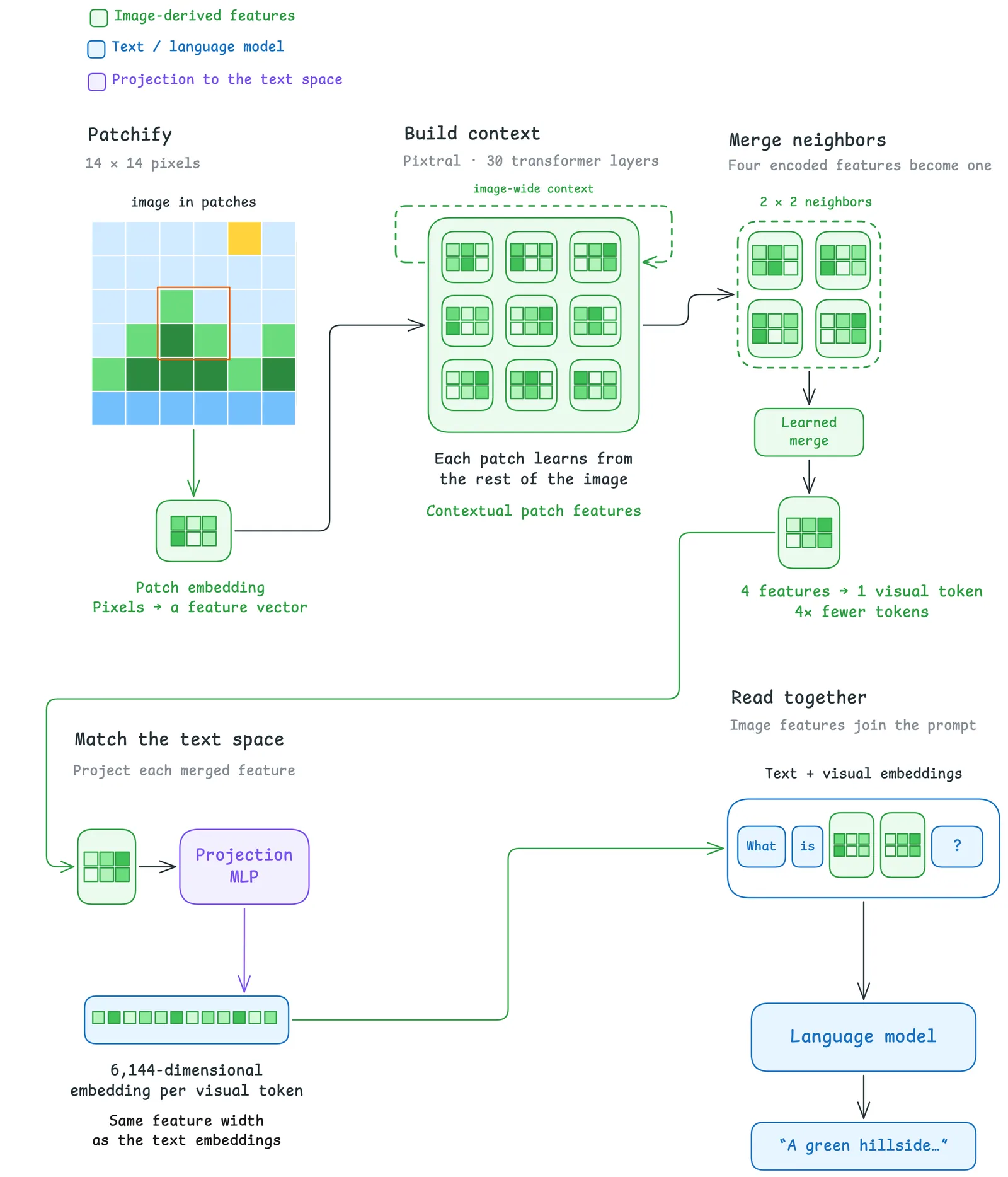 Image Encoder